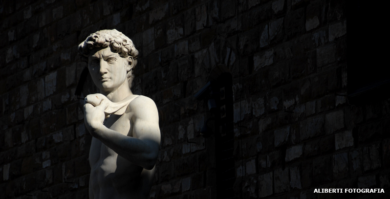 Firenze / David di Michelangelo