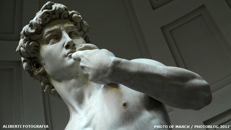 Galleria dell'Accademia /Il David di Michelangelo