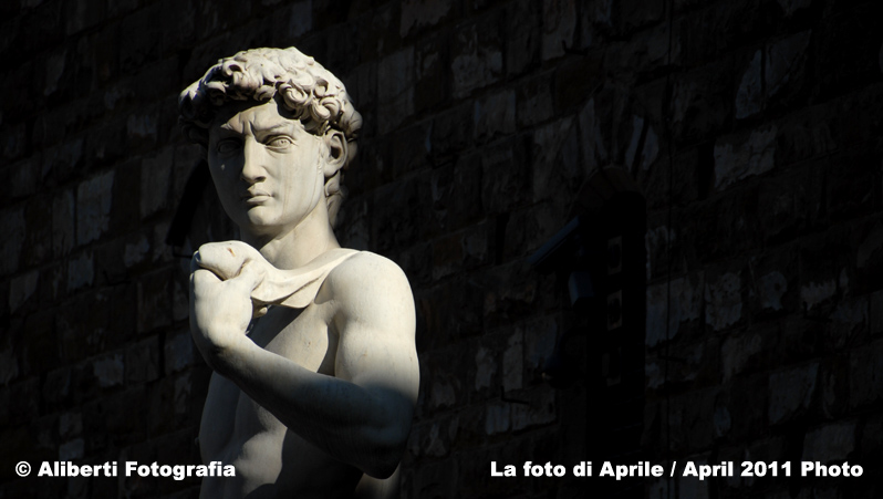 FIRENZE David di Michelangelo 