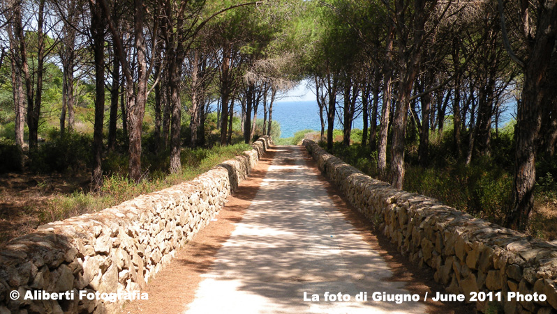 SALENTO Parco Regionale di Porto Selvaggio