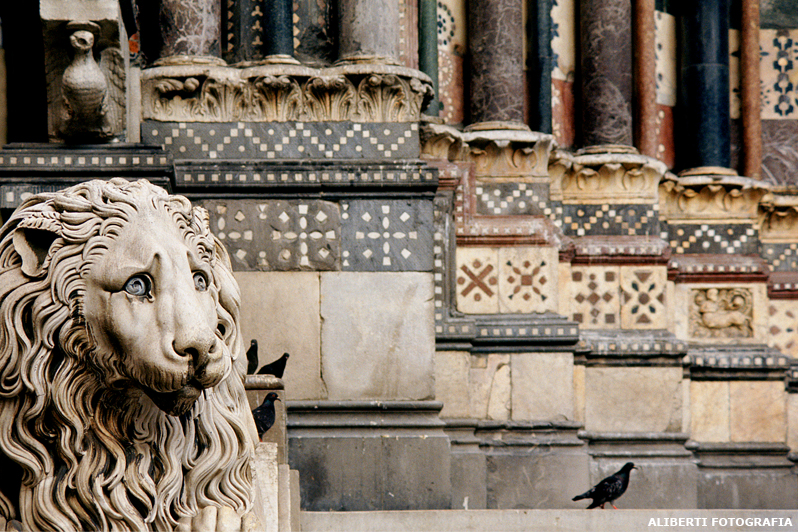 Genova / Duomo