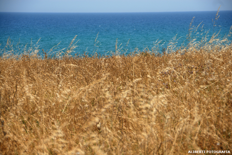 Sicilia / Noto marina