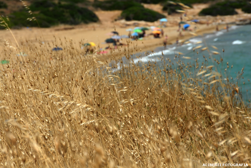 Sicilia / Noto Eloro