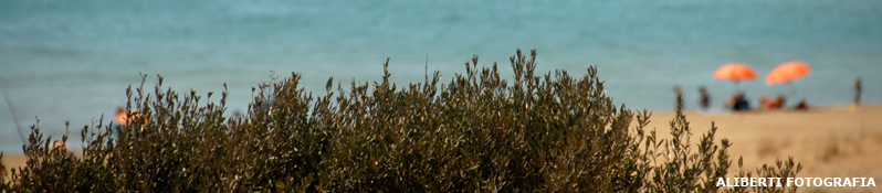 Sicilia / Noto Tellaro