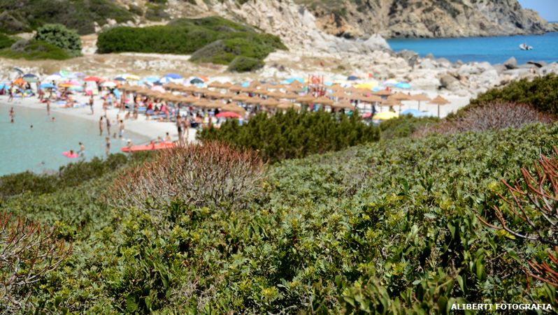 Sardegna / Villasimius / Punta Molentis