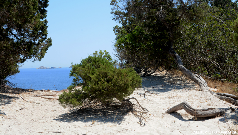 Sardegna / Villasimius / Cala Pira