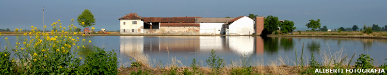 Vercellese / risaie
