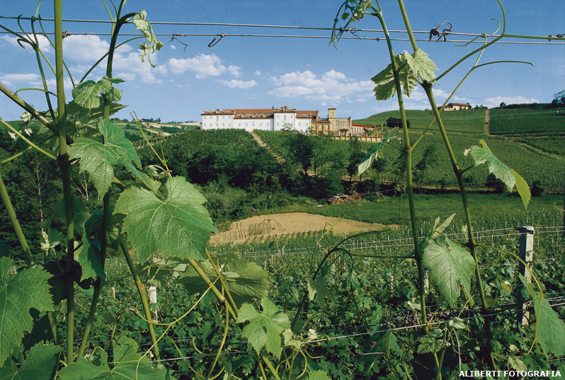 Langhe / Monforte d'Alba