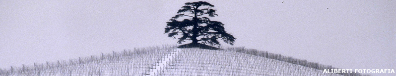 La Morra