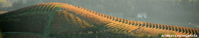 Barbaresco