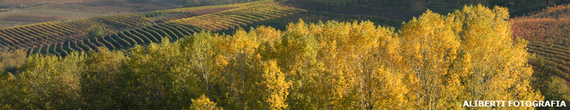 Barolo