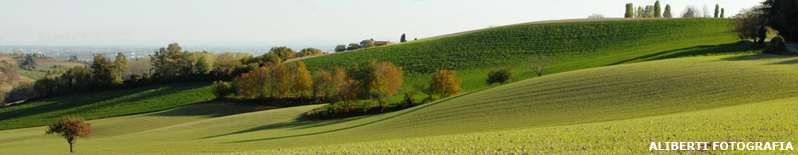 Pino Torinese