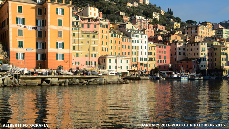 Liguria / Camogli