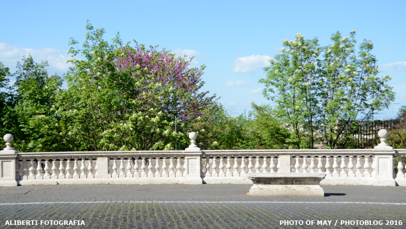 Roma / piazzale del Fontanone