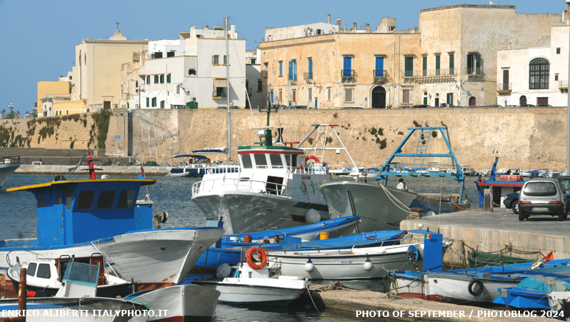 Gallipoli / mediterraneo vivo