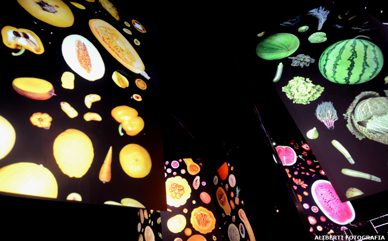 EXPO MILANO 2015/ Un racconto