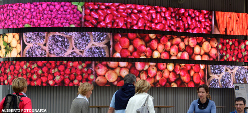 EXPO MILANO 2015/ Un racconto