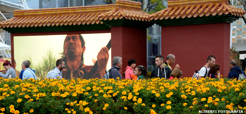 EXPO MILANO 2015/ Un racconto