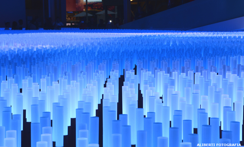 EXPO MILANO 2015/ Un racconto